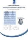 100SS series 50mm stainless steel fixed top plate 60x60mm castor with grey TPR-rubber on polypropylene centre plain bearing wheel 40kg - Spec sheet