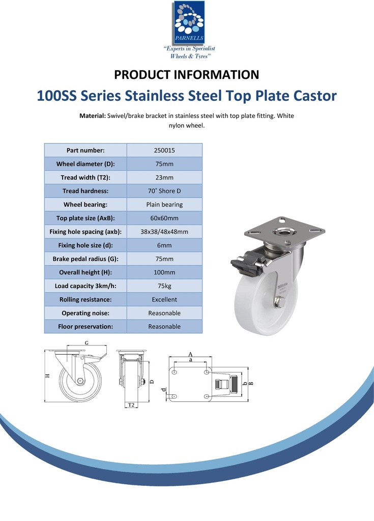 100SS series 75mm stainless steel swivel/brake top plate 60x60mm castor with nylon plain bearing wheel 75kg - Spec sheet