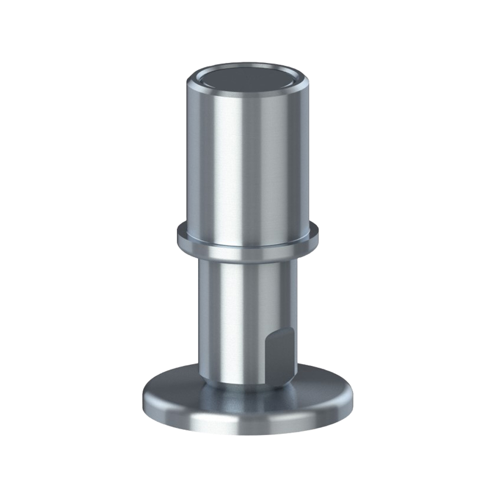 Tank support bolt